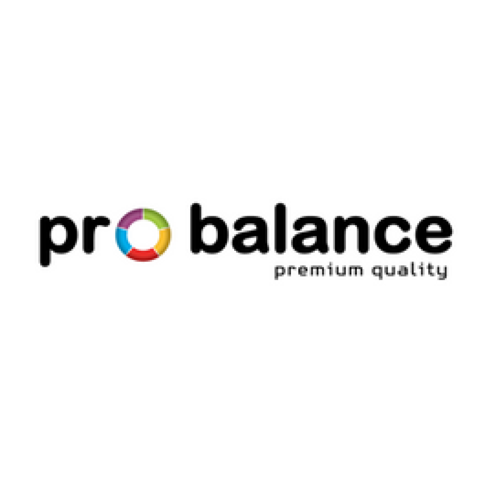 ProBalance ProBalance
