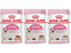 Royal Canin Kitten (желе), 85г х 12шт