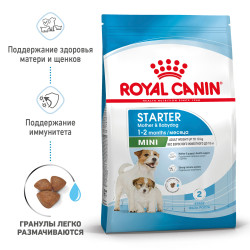 Royal Canin Mini Starter, 1кг- фото