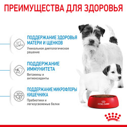 Royal Canin Mini Starter, 1кг- фото4