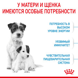 Royal Canin Mini Starter, 1кг- фото3