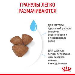 Royal Canin Mini Starter, 1кг- фото5