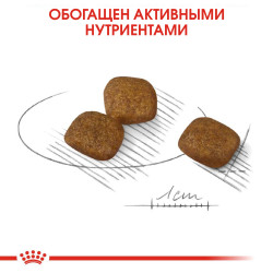 Royal Canin Mini Coat Care 1кг
- фото5