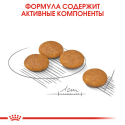 Royal Canin Mini Dermacomfort 1кг
- фото5