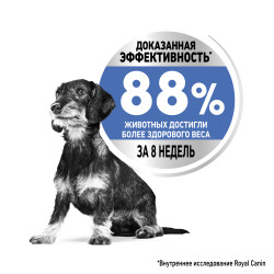 Royal Canin Mini Light Weight Care- фото4