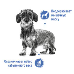 Royal Canin Mini Light Weight Care- фото3