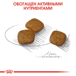 Royal Сanin Mini Urinary Care 1кг- фото5