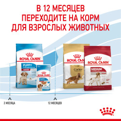 Royal Canin, Medium Puppy 3кг
- фото9