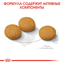 Royal Canin Medium Dermacomfort 3кг
- фото6