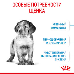 Royal Canin, Medium Puppy 3кг
- фото4