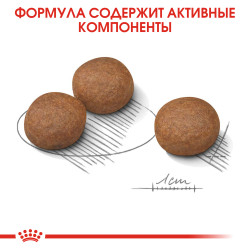 Royal Canin Medium Digestive Care 3кг- фото4