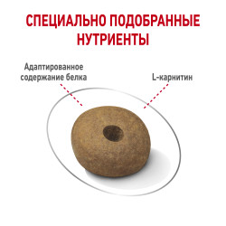 Royal Canin Medium Light Weight Care 3кг- фото5