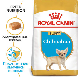 Royal Canin Chihuahua Puppy 0,5кг- фото2